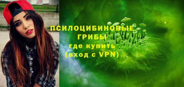 Альфа ПВП Бугульма