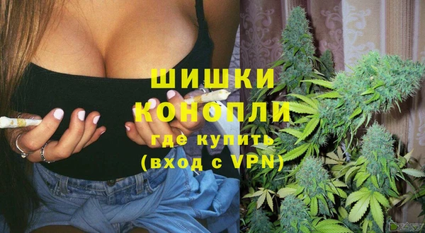 шишки Лихославль