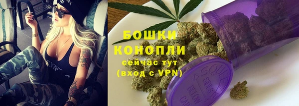 PSILOCYBIN Михайлов