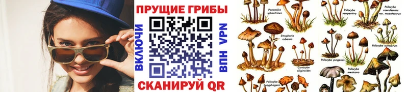 Псилоцибиновые грибы мухоморы  купить   Людиново 